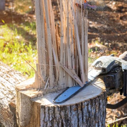 Person using a chainsaw to cut down damaged tree trunk after a natural disaster.