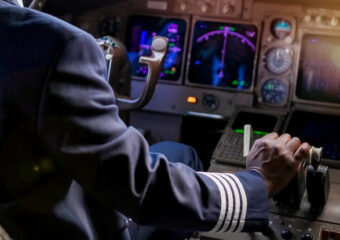 Credit:Sunshine Seeds