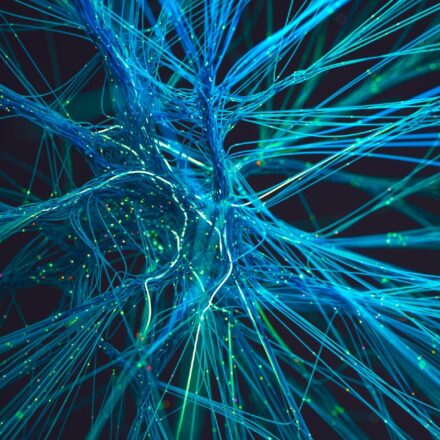 data analytics, data science, neuroscience, mental health, Dell Technologies, Dell Pro Max laptop, NVIDIA, healthcare